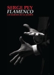 Flamenco  -  les souliers de la joselito