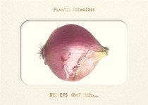 Livre d'images - plantes potagères