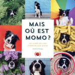 Mais où est momo ?