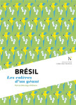 Brésil - les colères d'un géant