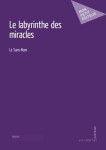 Le labyrinthe des miracles