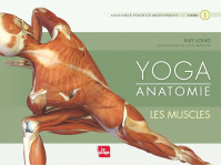 Yoga anatomie - les muscles