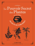 Le pouvoir secret des plantes et autres secrets de sorcieres