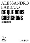 Ce que nous cherchons - 33 fragments