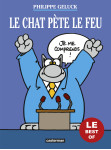 Les best of du chat - le chat pete le feu