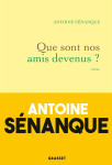 Que sont nos amis devenus ? - roman