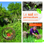 Le sol en permaculture