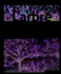 L' arbre au jardin bio