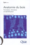 Anatomie du bois