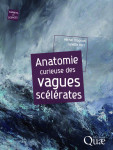 Anatomie curieuse des vagues scélérates