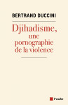 Djihadisme : une pornographie de la violence