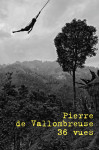 Pierre de vallombreuse / 36 vues