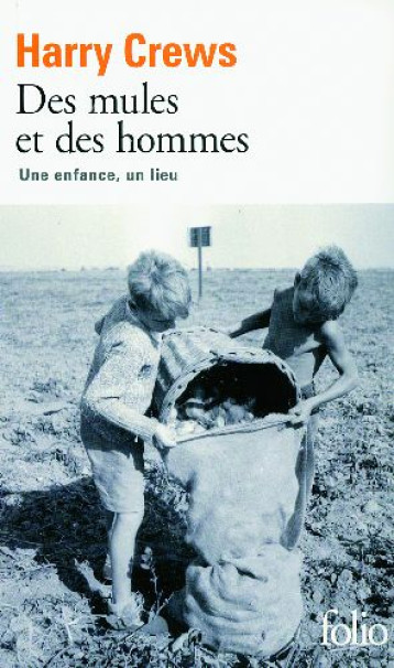 DES MULES ET DES HOMMES  -  UNE ENFANCE, UN LIEU - CREWS HARRY - GALLIMARD