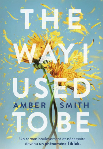 THE WAY I USED TO BE - AMBER SMITH - GALLIMARD