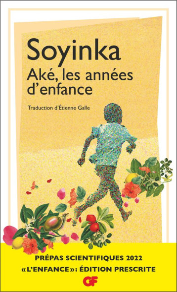 AKE, LES ANNEES D'ENFANCE - WOLE SOYINKA - FLAMMARION