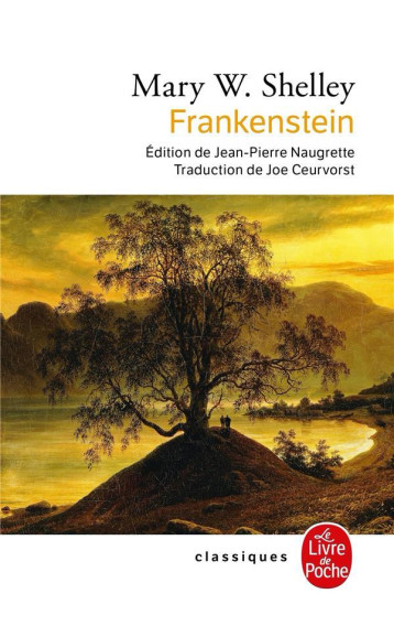 FRANKENSTEIN - SHELLEY M W. - LGF/Livre de Poche