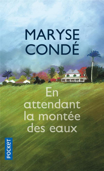 EN ATTENDANT LA MONTEE DES EAUX - CONDE MARYSE - Pocket