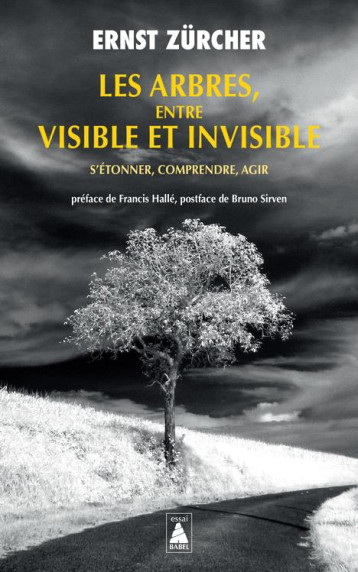 LES ARBRES, ENTRE VISIBLE ET INVISIBLE - S'ETONNER, COMPRENDRE, AGIR - ILLUSTRATIONS, NOIR ET BLANC - ZURCHER/HALLE/SIRVEN - ACTES SUD