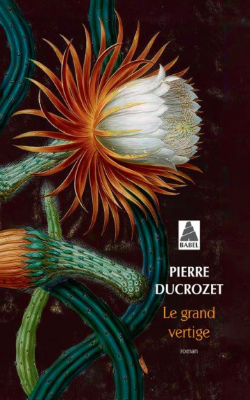 LE GRAND VERTIGE - ILLUSTRATIONS, NOIR ET BLANC - DUCROZET PIERRE - ACTES SUD