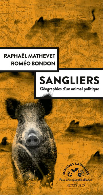 SANGLIERS, GEOGRAPHIES D'UN ANIMAL POLITIQUE - MATHEVET RAPHAEL/BON - ACTES SUD