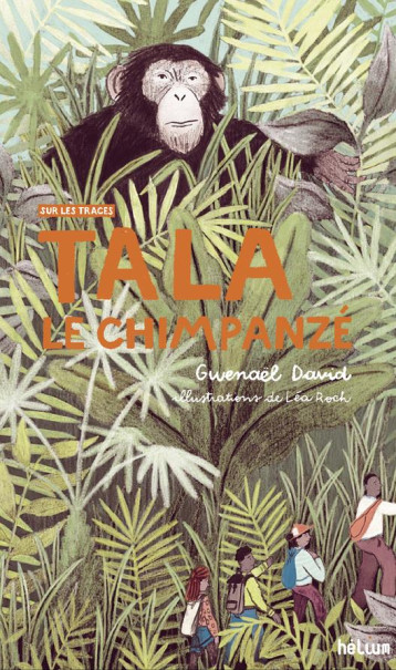 TALA, LE CHIMPANZE : SUR LES TRACES - DAVID/KRIEF/ROCH - ACTES SUD