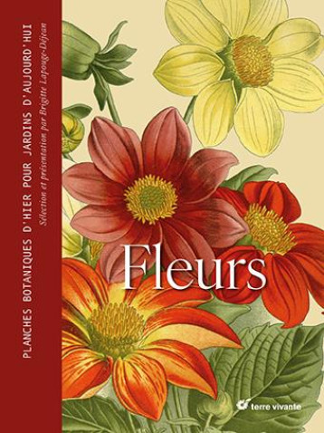 FLEURS - PLANCHES BOTANIQUES D'HIER POUR JARDINS D'AUJOURD'HUI - LAPOUGE-DEJEAN B. - TERRE VIVANTE