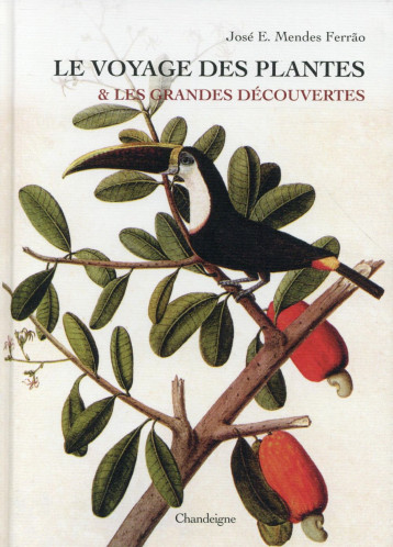 LE VOYAGE DES PLANTES ET LES GRANDES DECOUVERTES - MENDES FERRAO JOSE E - Chandeigne