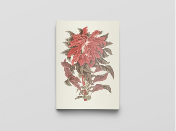 Carnet - Fleurs, fruits et feuillages de Java - Notes et lec - HOOLA VAN NOOTEN Berthe - RELIEFS