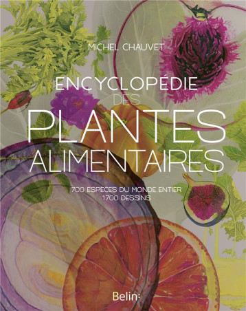 ENCYCLOPEDIE DES PLANTES ALIMENTAIRES - CHAUVET MICHEL - BELIN