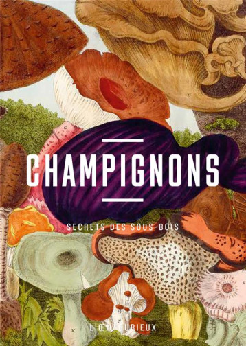 CHAMPIGNONS : SECRETS DES SOUS-BOIS - MENAPACE LUC - CTHS EDITION