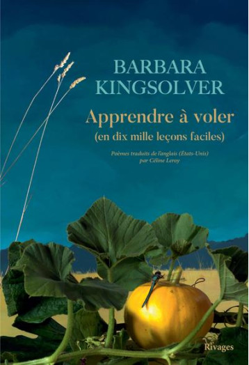 APPRENDRE A VOLER : (EN 10000 LECONS FACILES) - KINGSOLVER BARBARA - Rivages