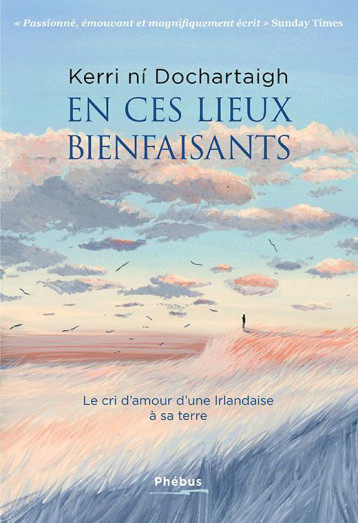 EN CES LIEUX BIENFAISANTS : LE CRI D'AMOUR D'UNE IRLANDAISE A SA TERRE - DOCHARTAIGH KERRI NI - LIBRETTO