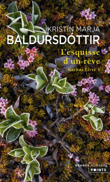 KARITAS, L'ESQUISSE D'UN REVE - BALDURSDOTTIR KRISTIN - POINTS