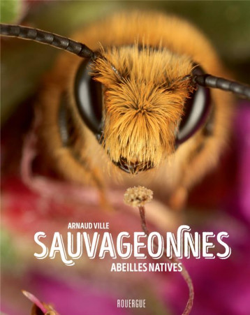 SAUVAGEONNES : ABEILLES NATIVES - VILLE ARNAUD - ROUERGUE