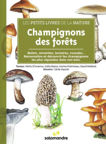 CHAMPIGNONS DES FORETS - D-INVERNO/MATOS - LA SALAMANDRE