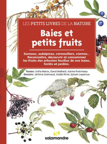 BAIES ET PETITS FRUITS - MATOS/POITRINEAU - LA SALAMANDRE