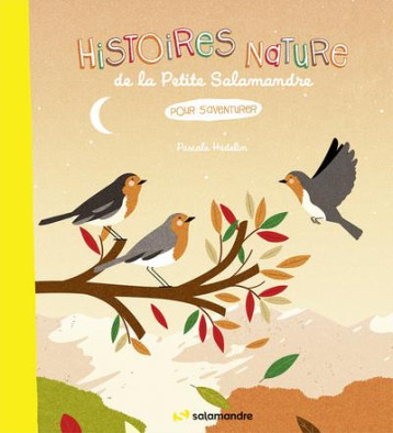 HISTOIRES NATURE DE LA PETITE SALAMANDRE : POUR S'AVENTURER - HEDELIN PASCALE - LA SALAMANDRE