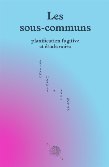 LES SOUS-COMMUNS : PLANIFICATION FUGITIVE ET ETUDE NOIRE - HARNEY/MOTEN - BROOK