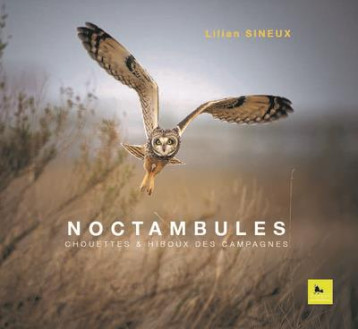 NOCTAMBULES : CHOUETTES ET HIBOUX DES CAMPAGNES - SINEUX LILIAN - CORBAC