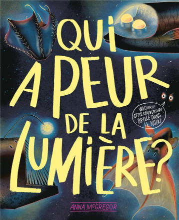 QUI A PEUR DE LA LUMIERE ? - ANNA MCGREGOR - GALLIMARD