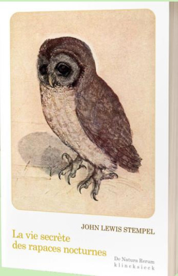 LA VIE SECRETE DES RAPACES NOCTURNES - LEWIS-STEMPEL JOHN - KLINCKSIECK