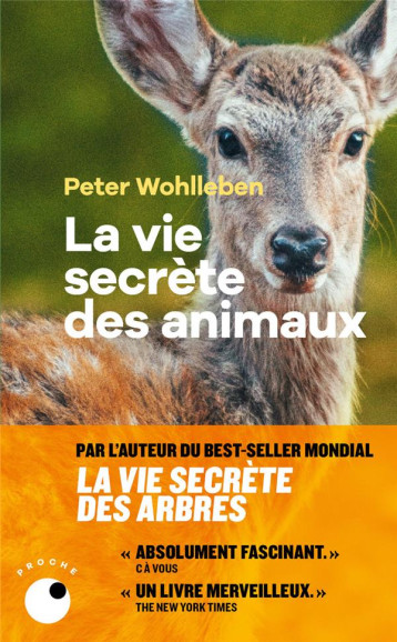 LA VIE SECRETE DES ANIMAUX - WOHLLEBEN PETER - BLACKLEPHANT