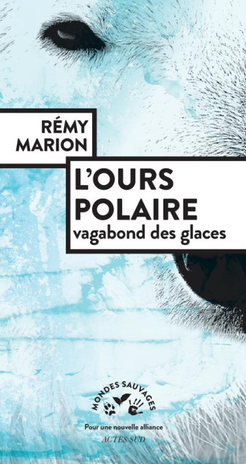 L'OURS POLAIRE, VAGABOND DES GLACES - MARION REMY - ACTES SUD