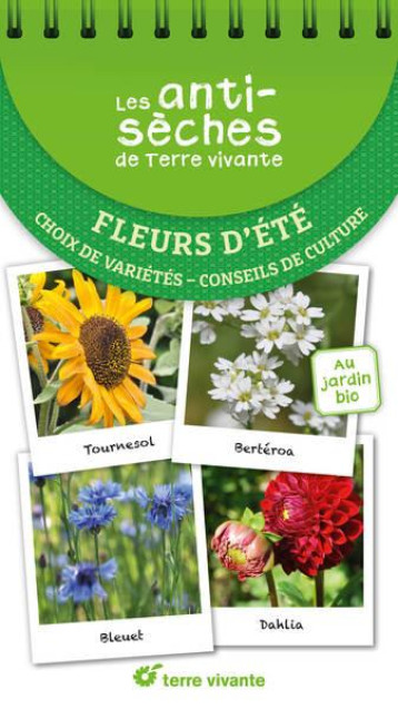 LES ANTISECHES DE TERRE VIVANTE : FLEURS D'ETE : CHOIX DE VARIETES  -  CONSEILS DE CULTURE - LAPOUGE-DEJEAN - TERRE VIVANTE