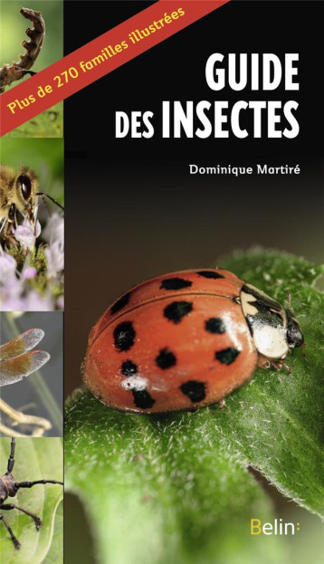 LE GUIDE DES INSECTES - MARTIRE DOMINIQUE - DORLING KINDERS