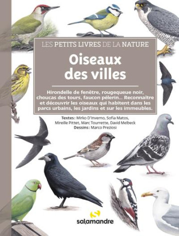 LES PETITS LIVRES DE LA NATURE - OISEAUX DES VILLES - D-INVERNO/MATOS - LA SALAMANDRE