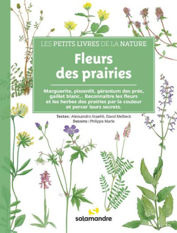 LES PETITS LIVRES DE LA NATURE - FLEURS DES PRAIRIES - STAEHLI/MELBECK - LA SALAMANDRE