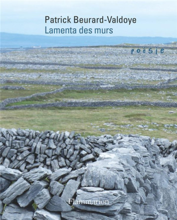 LAMENTA DES MURS - BEURARD-VALDOYE P. - FLAMMARION