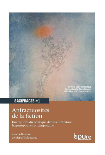 ANFRACTUOSITES DE LA FICTION - INSCRIPTIONS DU POLITIQUE DANS LA LITTERATURE HISPANOPHONE CONTEMPORA - WALDEGARAY MARTA INE - PU REIMS