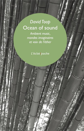 OCEAN OF SOUND : AMBIENT MUSIC, MONDES IMAGINAIRES ET VOIX D'ETHER - TOOP DAVID - ECLAT